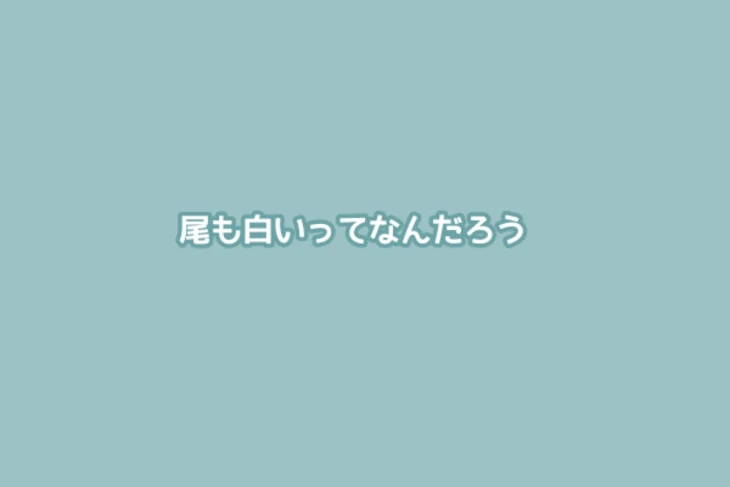 「尾も白いってなんだろう。」のメインビジュアル