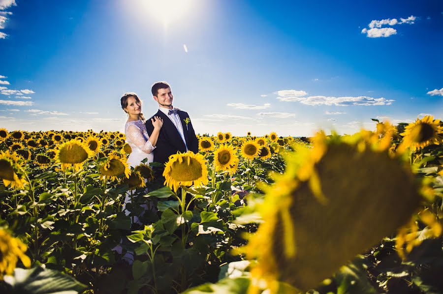 Wedding photographer Svetlana Chupryna (rembrant). Photo of 23 September 2013