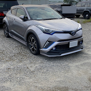 C-HR ZYX10