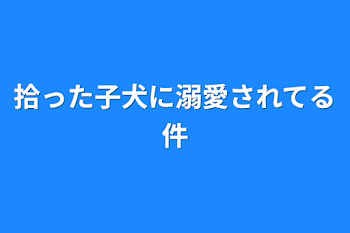 拾った子犬に溺愛されてる件