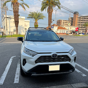 RAV4 MXAA54