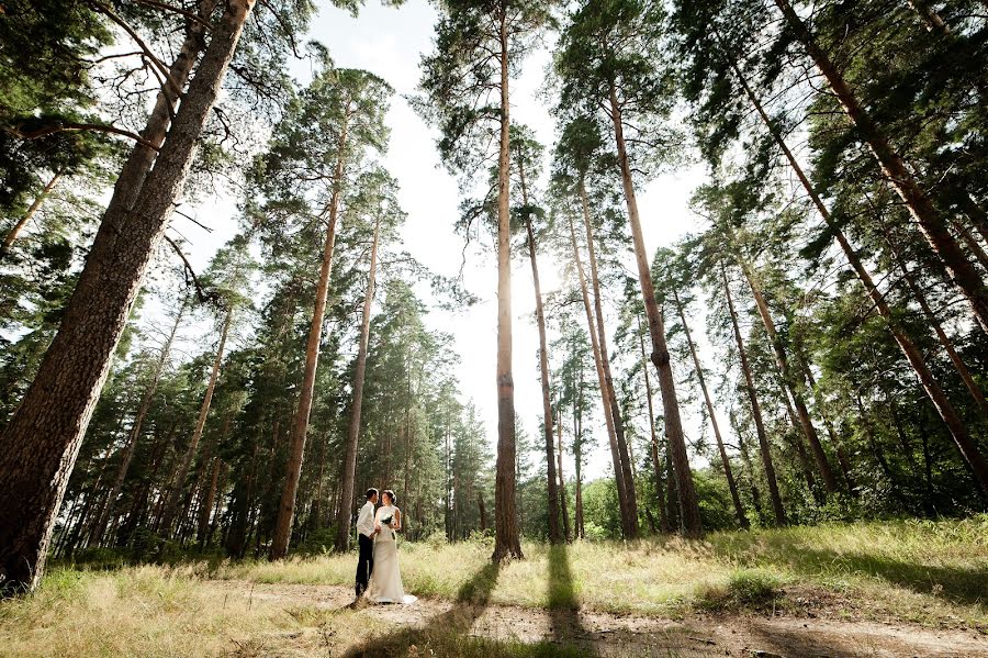 Wedding photographer Aleksandr Lobanov (alexanderlobanov). Photo of 15 August 2016