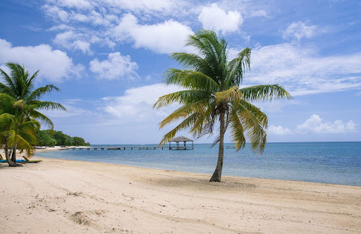 palmetto-bay-beach-roatan.jpg - The beach at Palmetto Bay on Roatan Island, Honduras. 
