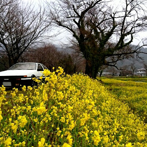 スプリンタートレノ AE86