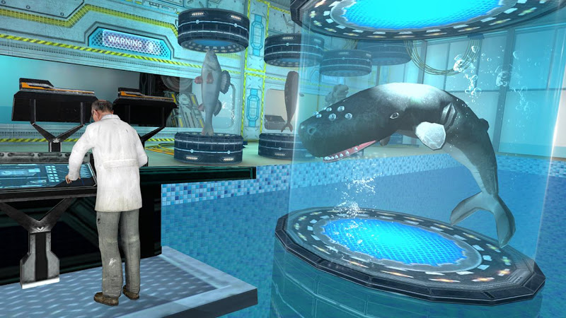 Скриншот Whale Shark Attack Simulator