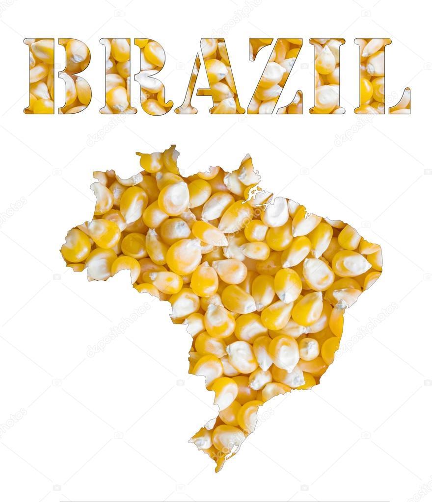 Brazilian corn