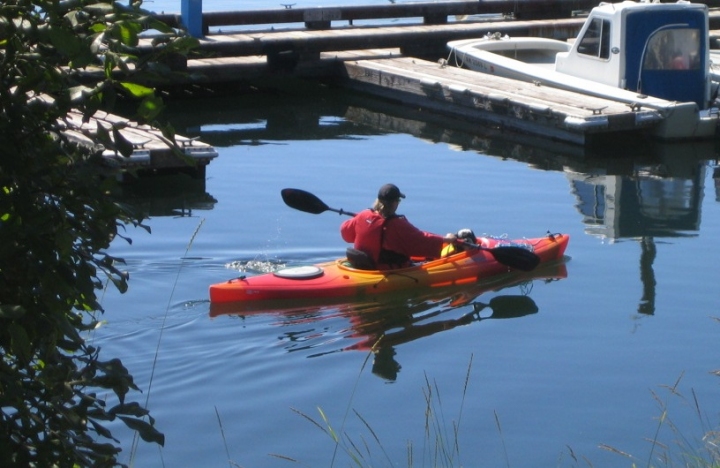 Paddle di vangigi