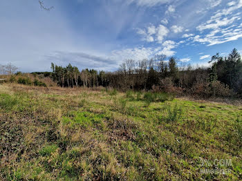 terrain à Taintrux (88)