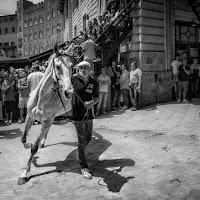 il fuoco di Siena di 