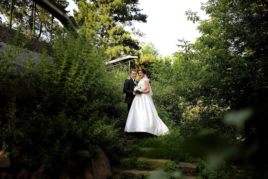 Fotógrafo de casamento Aleksandr Likhachev (shadow666). Foto de 19 de julho 2016