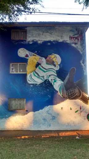 Mural Snowboard