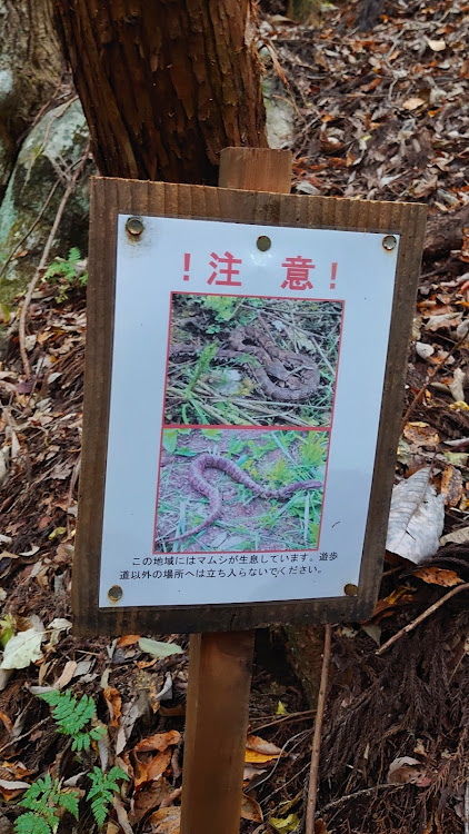 M4 クーペの2024ベストショット11月・ネイチャーフォトグラファー・紅葉狩りへ行こう🍁・温泉に行こう・Mのある暮らしに関するカスタム事例の投稿画像13枚目