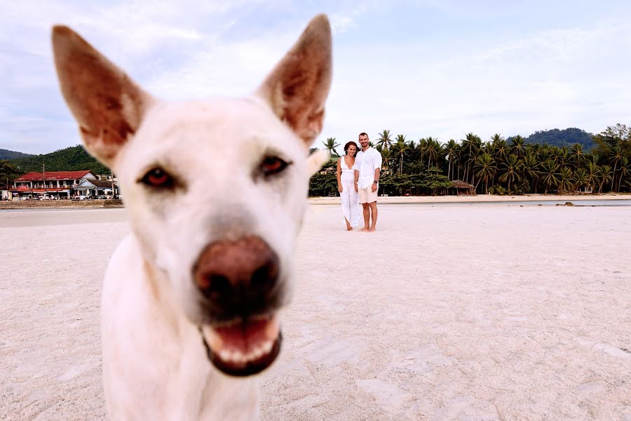 Fotógrafo de bodas Lara Korneeva (larakorneeva25). Foto del 30 de agosto 2018