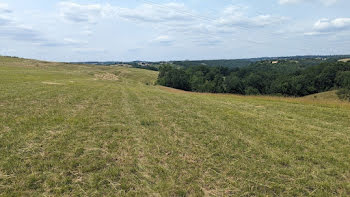 terrain à Albi (81)