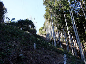 鉄塔まで急斜面