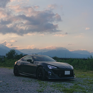 86 ZN6
