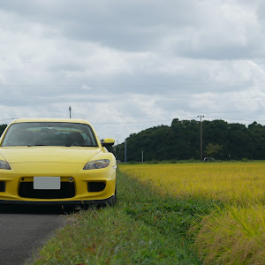 RX-8 SE3P