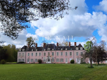 château à Orleans (45)