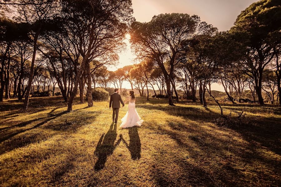 Wedding photographer Golfinos Kostas (golfinoskostas). Photo of 7 January 2017