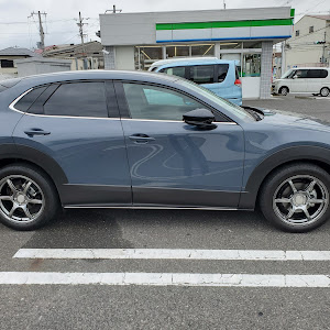 CX-30 DMEP