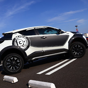 C-HR ZYX10