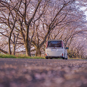 ヴォクシー ZRR80W