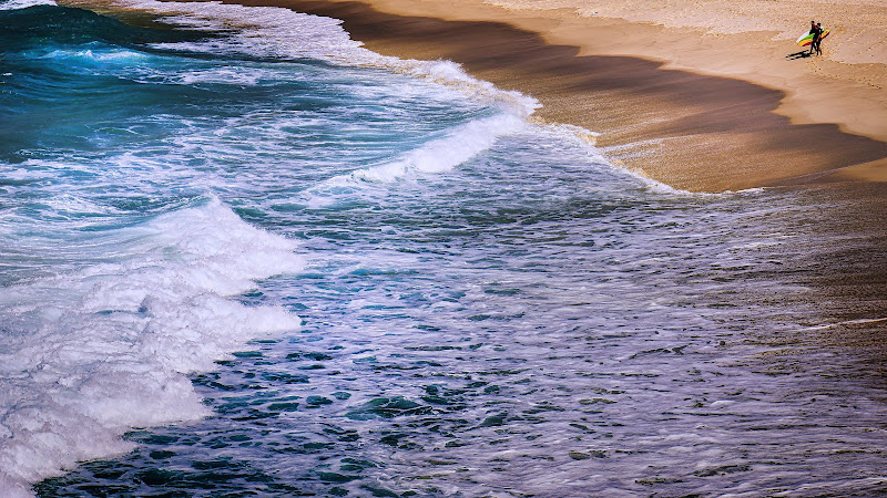 ...Com'è profondo il mare... di Montevecchi