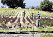 RURAL ATM: Poorly paid farmworkers have been finding it easy to secure loans they have little hope of paying back