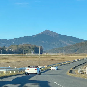 ロードスター NB型