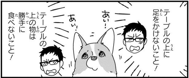テーブルの上にぼくのおやつ 勝手に食べちゃダメって言うから あしょんでよッ うちの犬ログ 3 Trill トリル