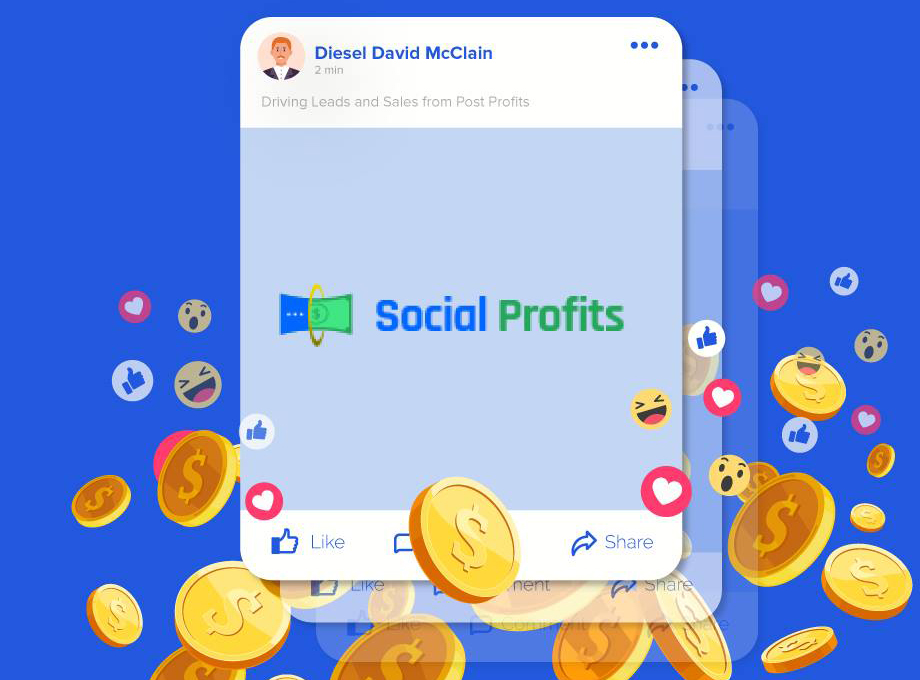 Social Profits Preview image 1