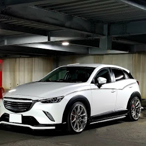 CX-3 DKEFW