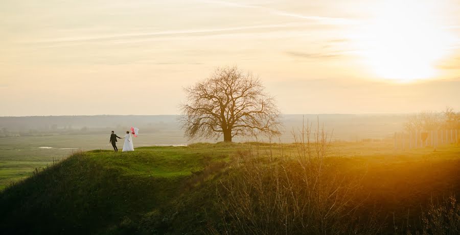 Photographe de mariage Bohdan Danyliuk (danyluk). Photo du 17 novembre 2017