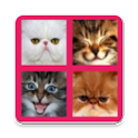 2048 Cute Cats