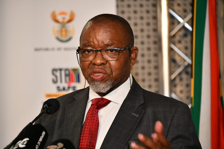 Minerals and energy minister Gwede Mantashe speaks during a press conference on renewable energy on Thursday night.