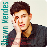 Shawn Mendes - Free offline albums