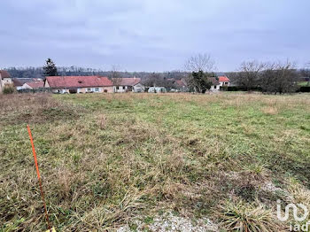 terrain à Dommartin-le-Saint-Père (52)