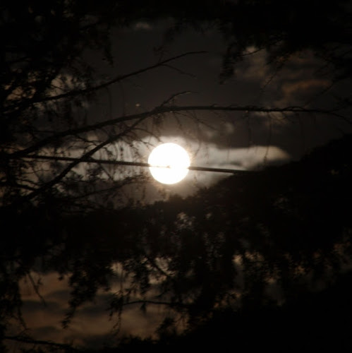 O graziosa luna, io mi rammento che..... di marcograzi