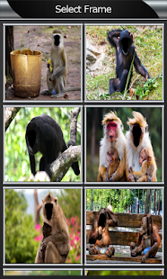 How to install Funny Monkey Photo Montage 1.4 apk for laptop