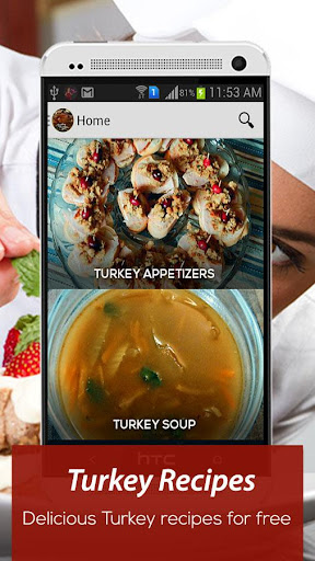 Turkey Recipes FREE