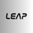 Leap icon