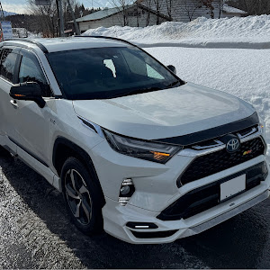 RAV4 AXAP54