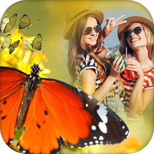Butterfly Photo Frame  Icon