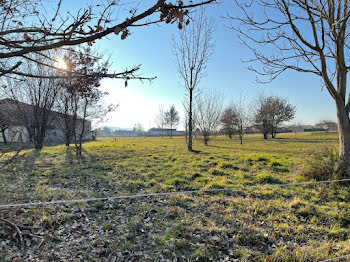 terrain à Roquecourbe (81)