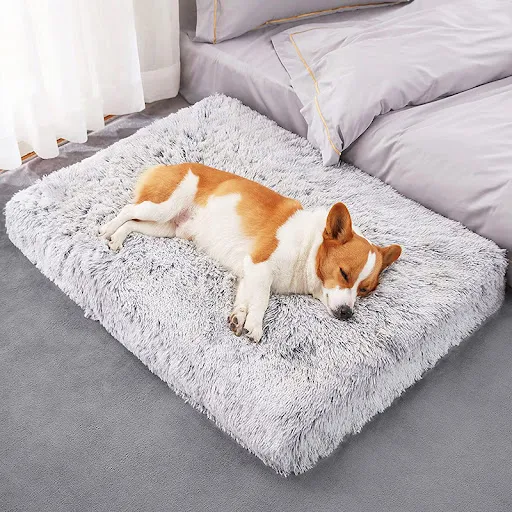 Plush Dog Bed Mat Cat Beds for Small Medium Large Dogs Removable for Cleaning Puppy Cushion Super Soft Claming Dog Beds 