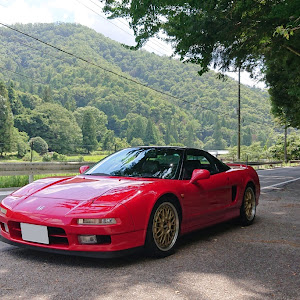 NSX NA1