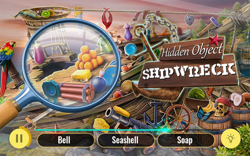 Searching for a Shipwreck – Find Hidden Artifacts