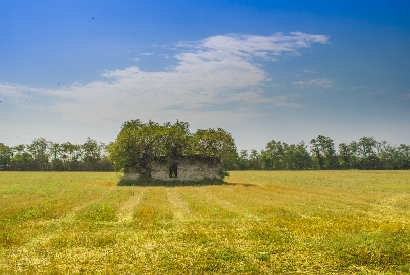 alone di thepatient