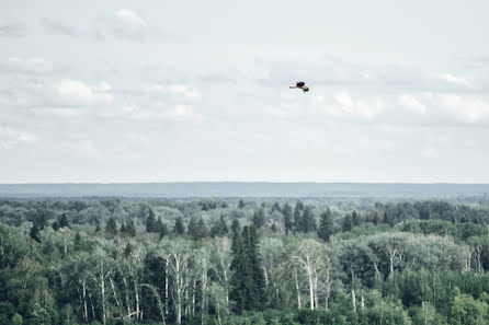 Bryllupsfotograf Lena Valena (valena). Bilde av 18 juli 2017