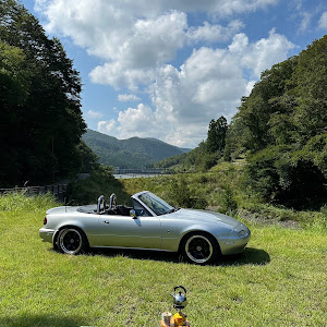 ロードスター NA6CE